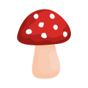 Shroomify - UK Mushroom ID Icon