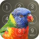 Parrot Lock Screen