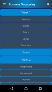 Business Vocabulary screenshot 5