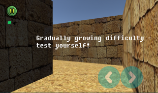 Epic Maze 3D screenshot 0