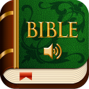 Basic English Bible Icon