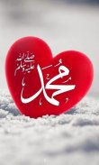 Allah and Mohammed Wallpapers screenshot 9