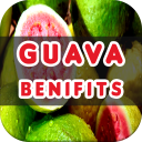Guava Benefits Icon
