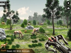 Deer Hunting Games Wild Animal screenshot 2