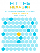 Fit The Hexagon screenshot 1