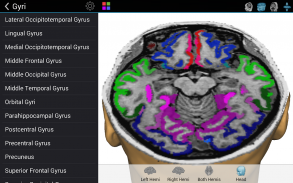 Brain Tutor 3D screenshot 13