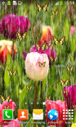 Tulips Live Wallpapers screenshot 2