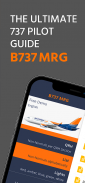 B737 MRG screenshot 2