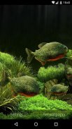 3D Fish Aquarium Wallpaper HD screenshot 1