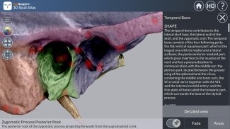 3D Skull Atlas screenshot 1