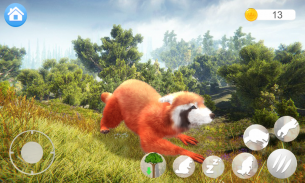 Talking Raccoon screenshot 5