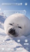 Cute Wallpaper Baby Seal Theme screenshot 1