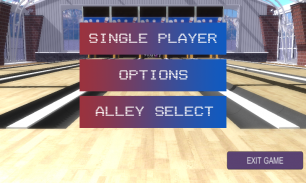 Bowling Game 3D screenshot 4