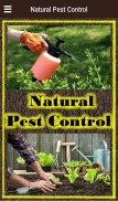 Natural Pest Control screenshot 9