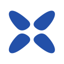 Xvid Player Icon