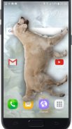 狗狗出现在手机屏幕上：汪汪笑话 screenshot 0