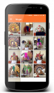 Swaminarayan Vagha screenshot 1