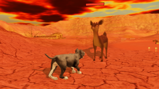 Pitbull Dog Simulator screenshot 10