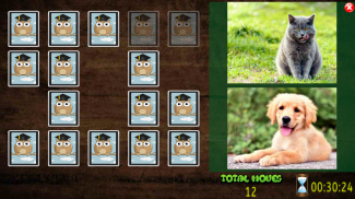 All Animals Pairs Memory Game screenshot 13