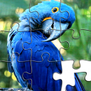 Jigsaw Puzzles - Puzzle Games Icon