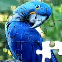 Jigsaw Puzzles - Puzzle Games