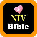 NIV Audio Holy Bible Icon