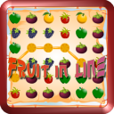 Fruit in line Icon