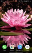 Pink Lotus Live Wallpaper screenshot 2