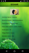 Medicinal Plants and Its Uses screenshot 6