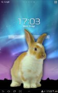 फोन में खरगोश प्यारा मजाक screenshot 3