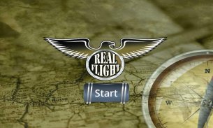 Real Flight - Plane simulator screenshot 9