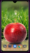 HD Fruit Apple Wallpaper screenshot 5