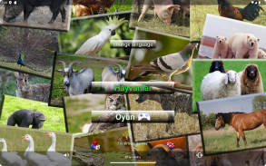 ZOO sounds quiz screenshot 8