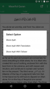 Maarif ul Quran English screenshot 4