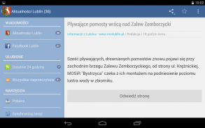 Lublin screenshot 5