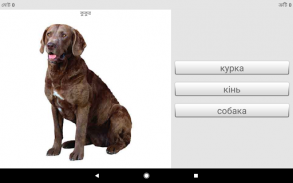 সাথে ইউক্রেনীয় শব্দ শিখুন Smart-Teacher screenshot 15