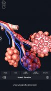 Respiratory System Anatomy Pro. screenshot 3