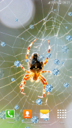 Spider Live Wallpapers screenshot 3