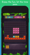 Block Puzzle 2021 screenshot 1