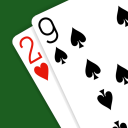 29 Card Game - Expert AI Icon
