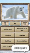 Animal Kingdom - Quiz Game screenshot 1