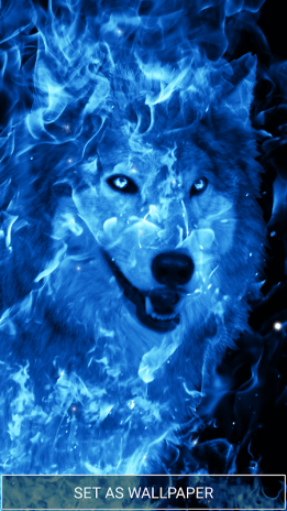 Ice Fire Wolf Wallpapers And Backgrounds 15 Download Apk For