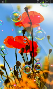 Summer 3D Poppies HD LWP screenshot 2