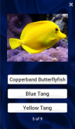 Fish Quiz screenshot 8