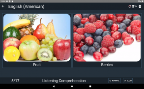 American English Test screenshot 18