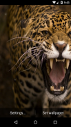 Leopard Live Wallpaper HD screenshot 6