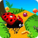 Bug Racing Icon