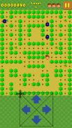 Berry Muncher : Fruit Frenzy screenshot 2