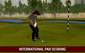 Professional Golf Lecture 3D screenshot 1