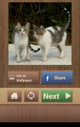 Jogos de Quebra Cabeça Gatos screenshot 11